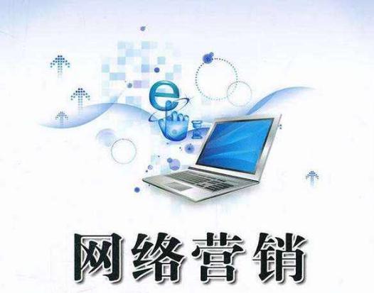網(wǎng)絡(luò)營(yíng)銷(xiāo)與互聯(lián)網(wǎng)銷(xiāo)售 數(shù)字時(shí)代的雙輪驅(qū)動(dòng)